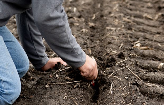 soil-health